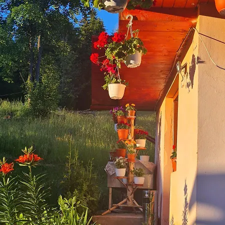 Guest house Cret Ocoale